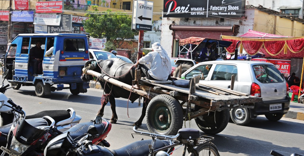 Buffalo cart in downtown Haridwar traffic
