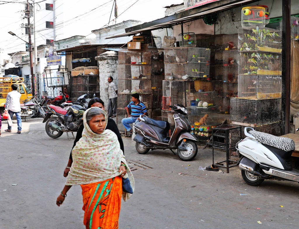 Bird market, Hyderabad