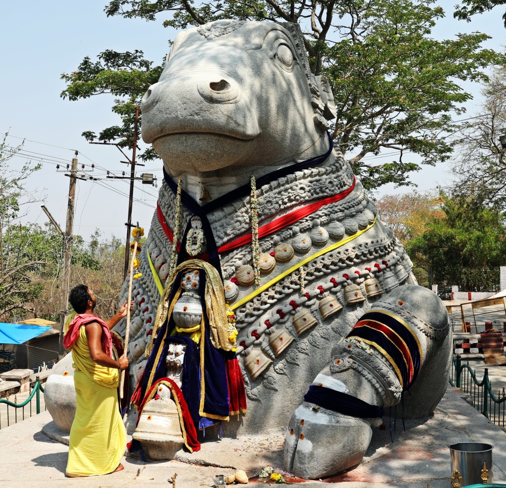 Nandi statue and pundit, Chamundeshwari Temple, Mysore