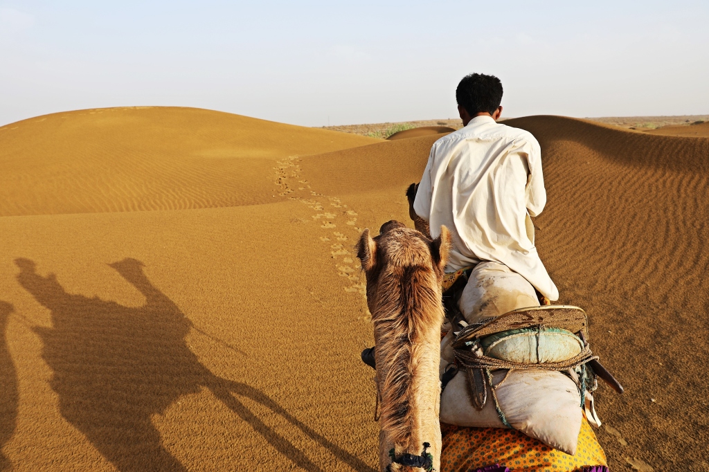 Camel Herder, Thar Desert