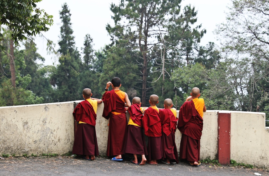 Novice monks, Tsuglagkhang Gompa