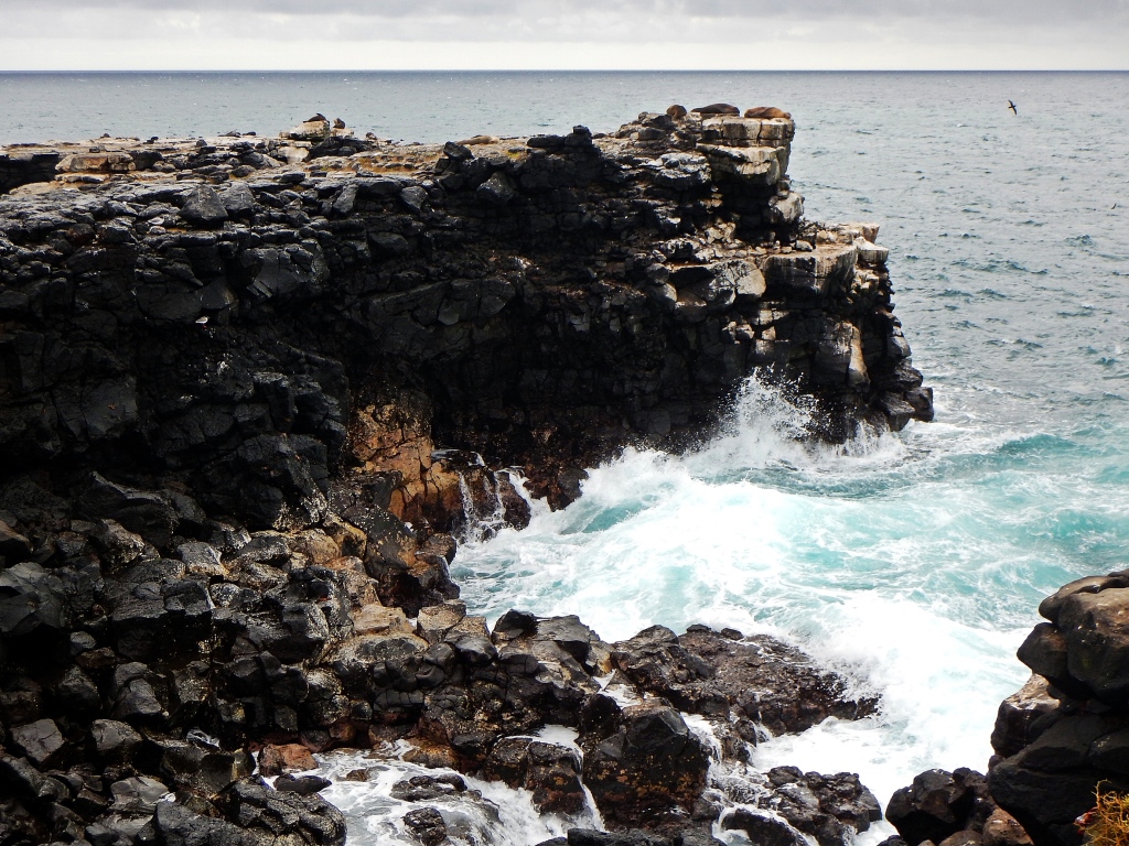 Rocky coastline, Galapagos