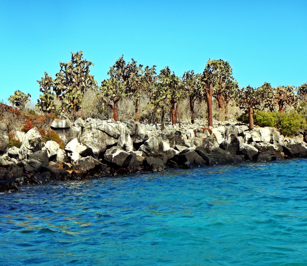 Rugged coastline, Galapagos