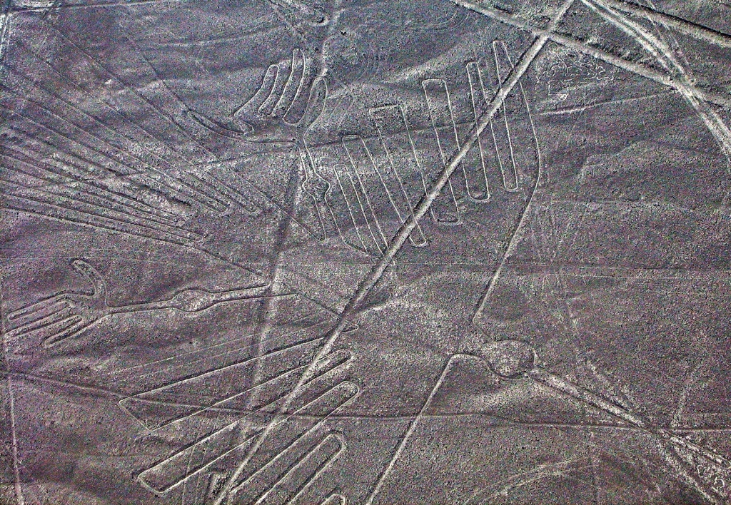 Condor, Nazca Lines