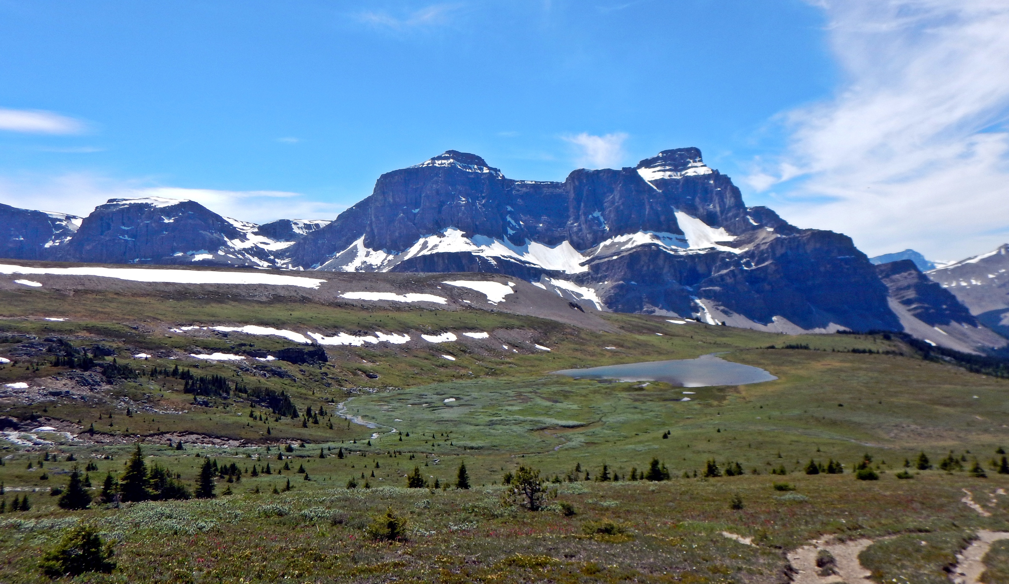 Molar Meadow, Banff National Park