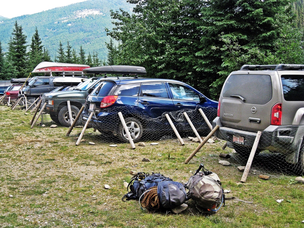 Chicken wire on cars at Bugaboos parking lot