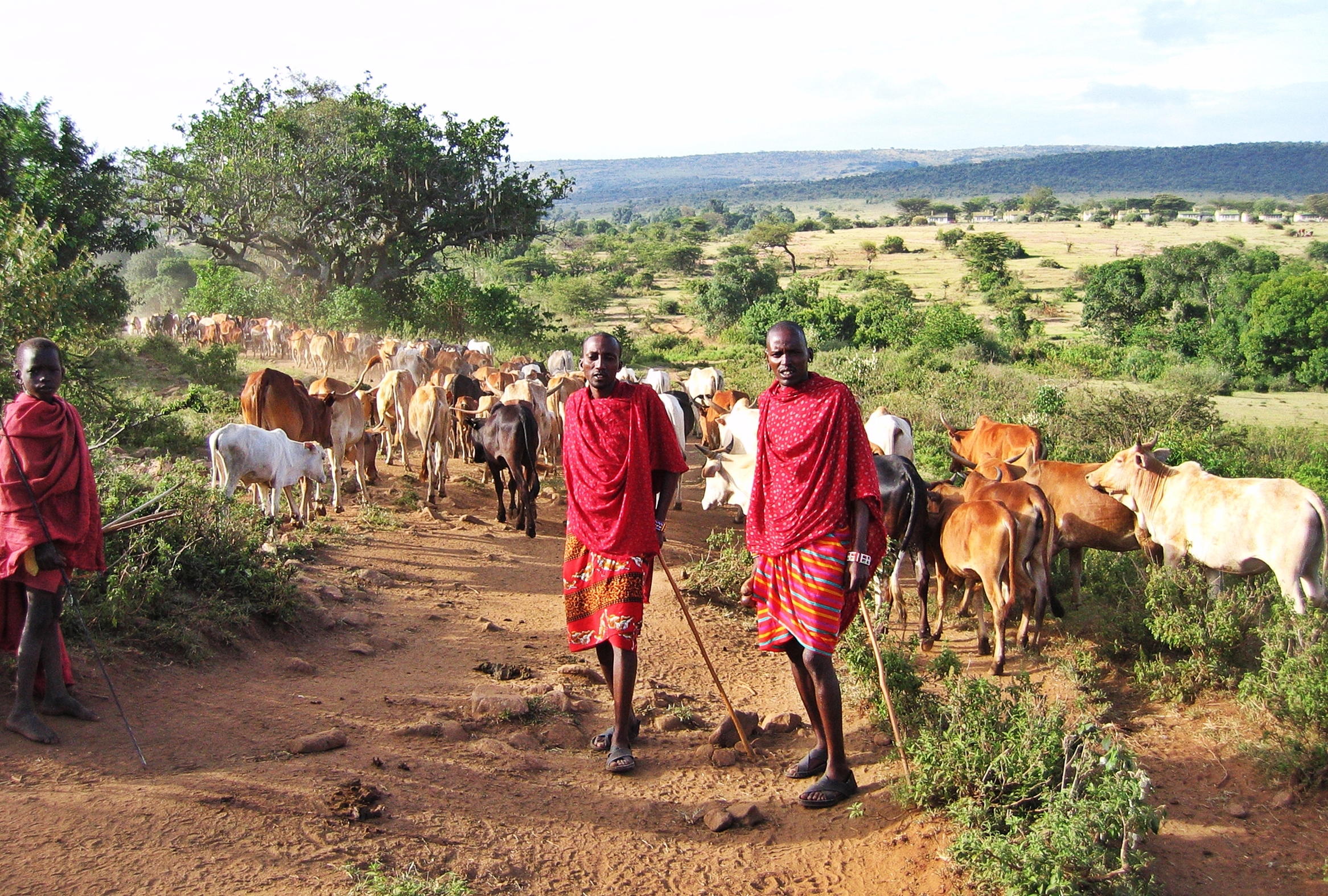 Maasai boys, Maasai Mara National Reserve