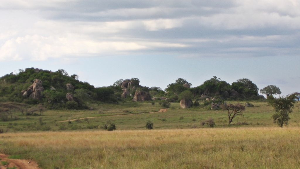 Kopjes, Serengeti National Park