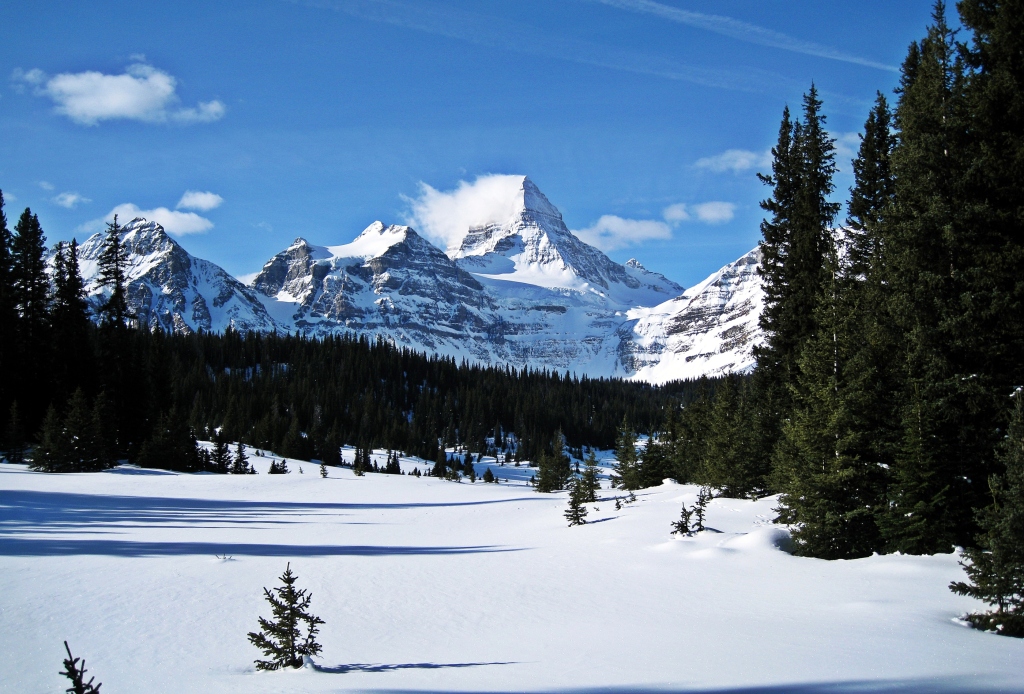Mount Assiniboine, Winter 2013
