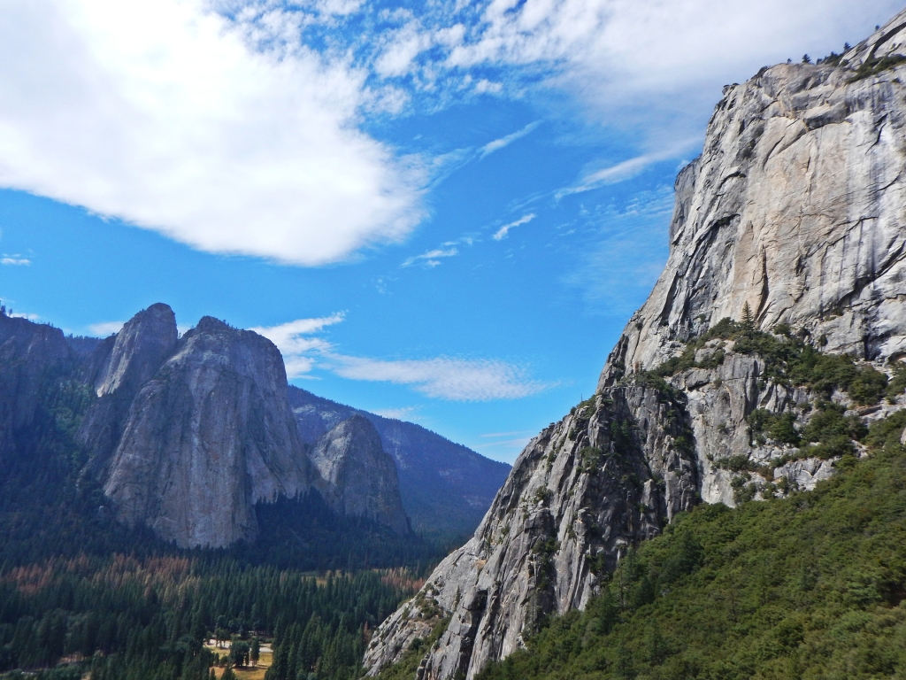 View of El Cap and Cathedrals from After 7, Ranger Rock, Yosemite