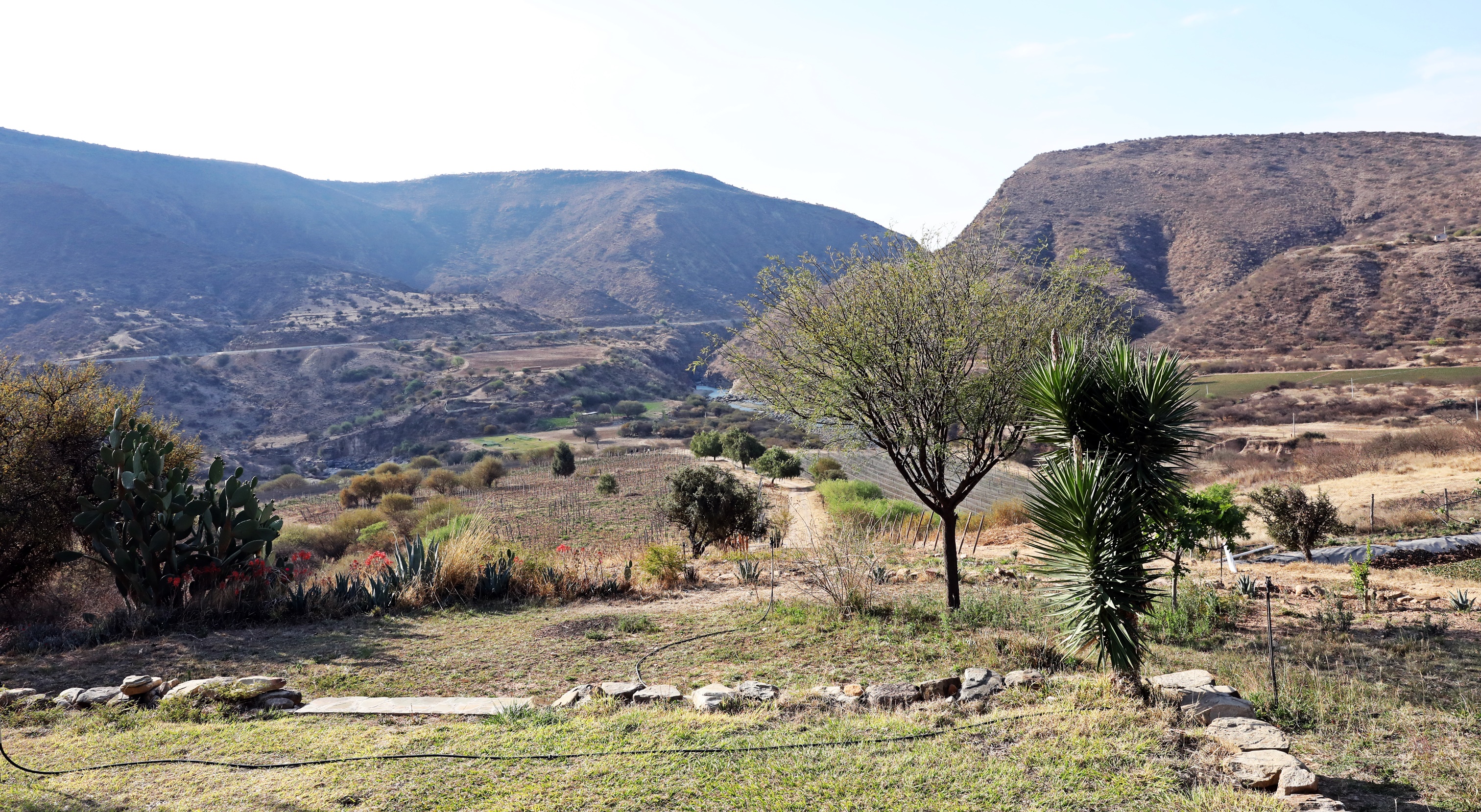 Bolivian Wine Country