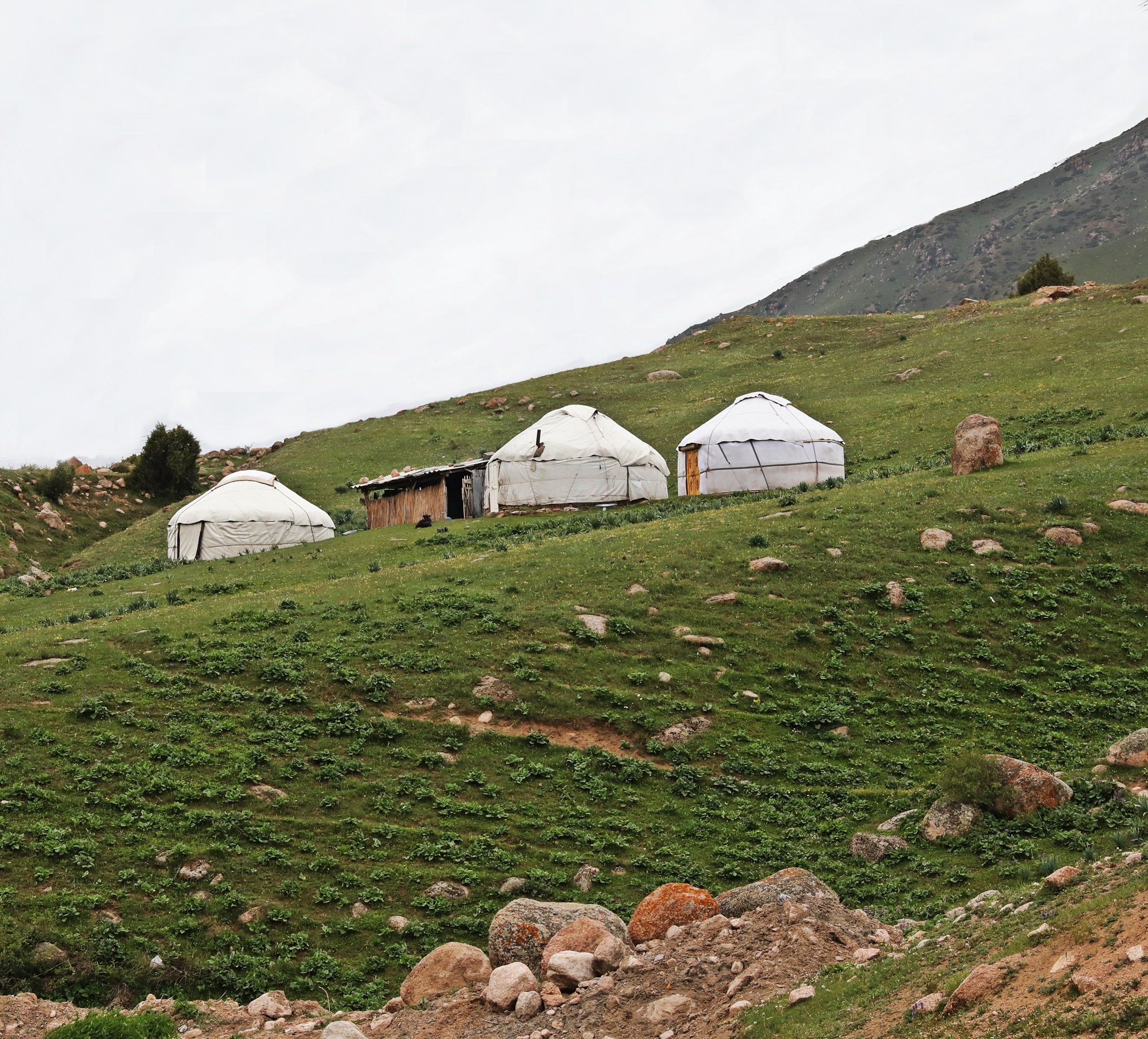 Yurts, Suusamyr Valley