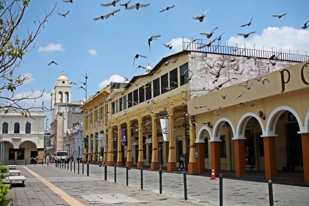 Heritage Building, Downtown San Salvador