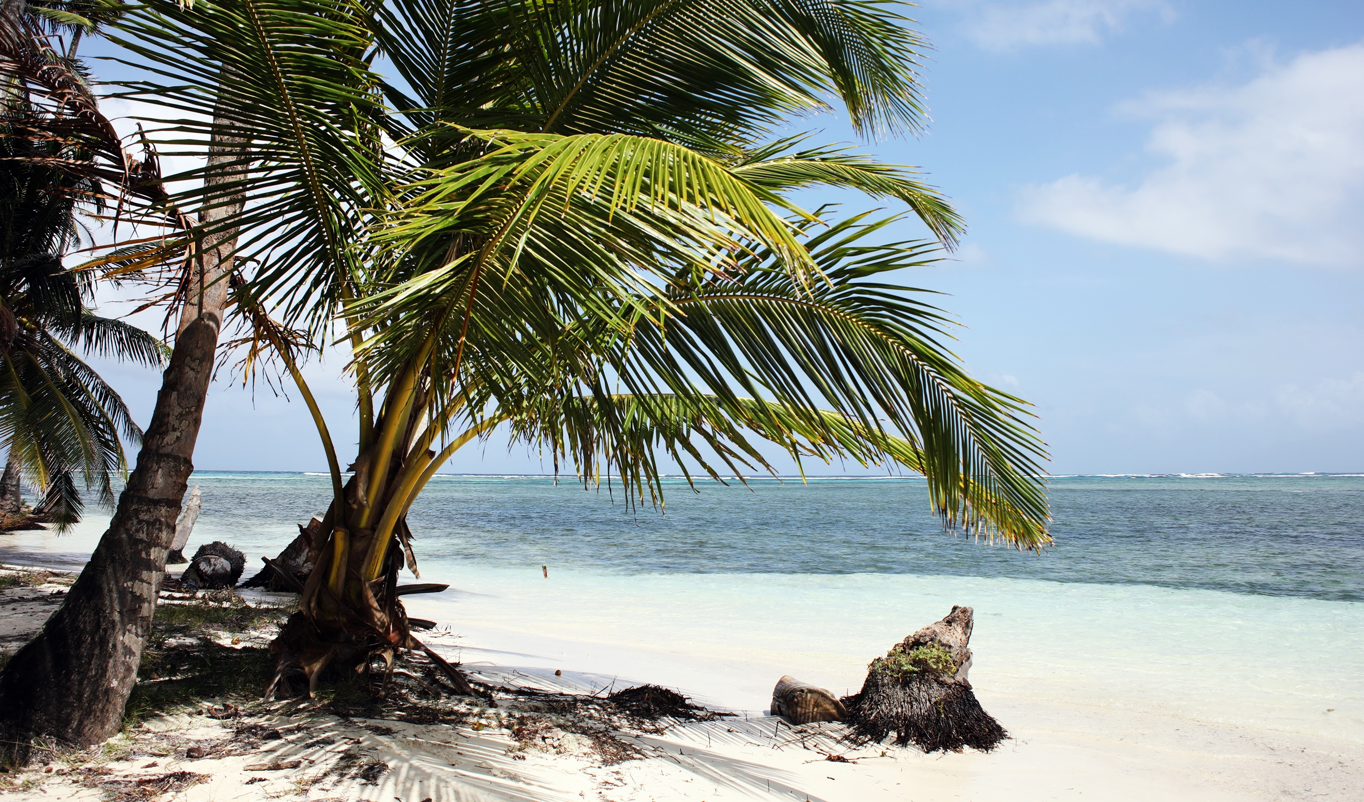 Yani Island, San Blas, Panama