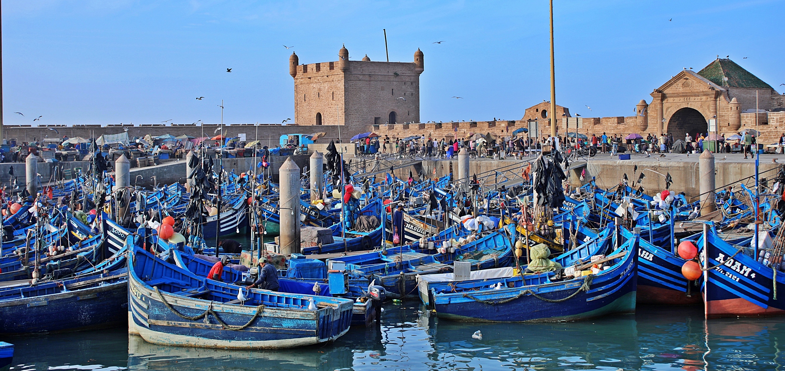 Exploring The Fortress and Port of Essaouira