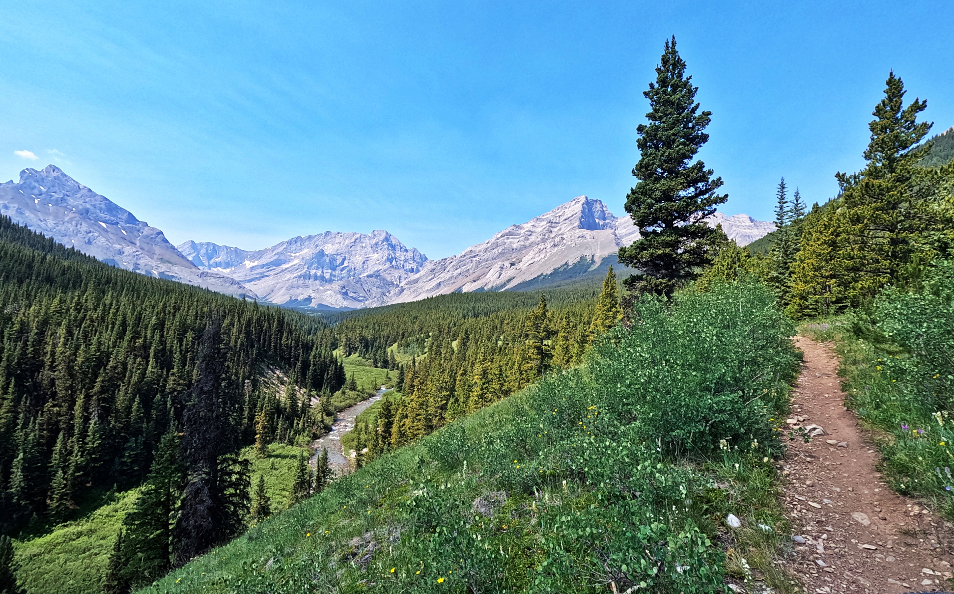 Our Favourite X-C Mountain Biking In Calgary And Area
