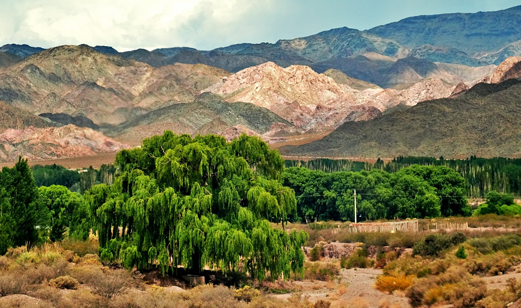 Wine Tasting In Mendoza