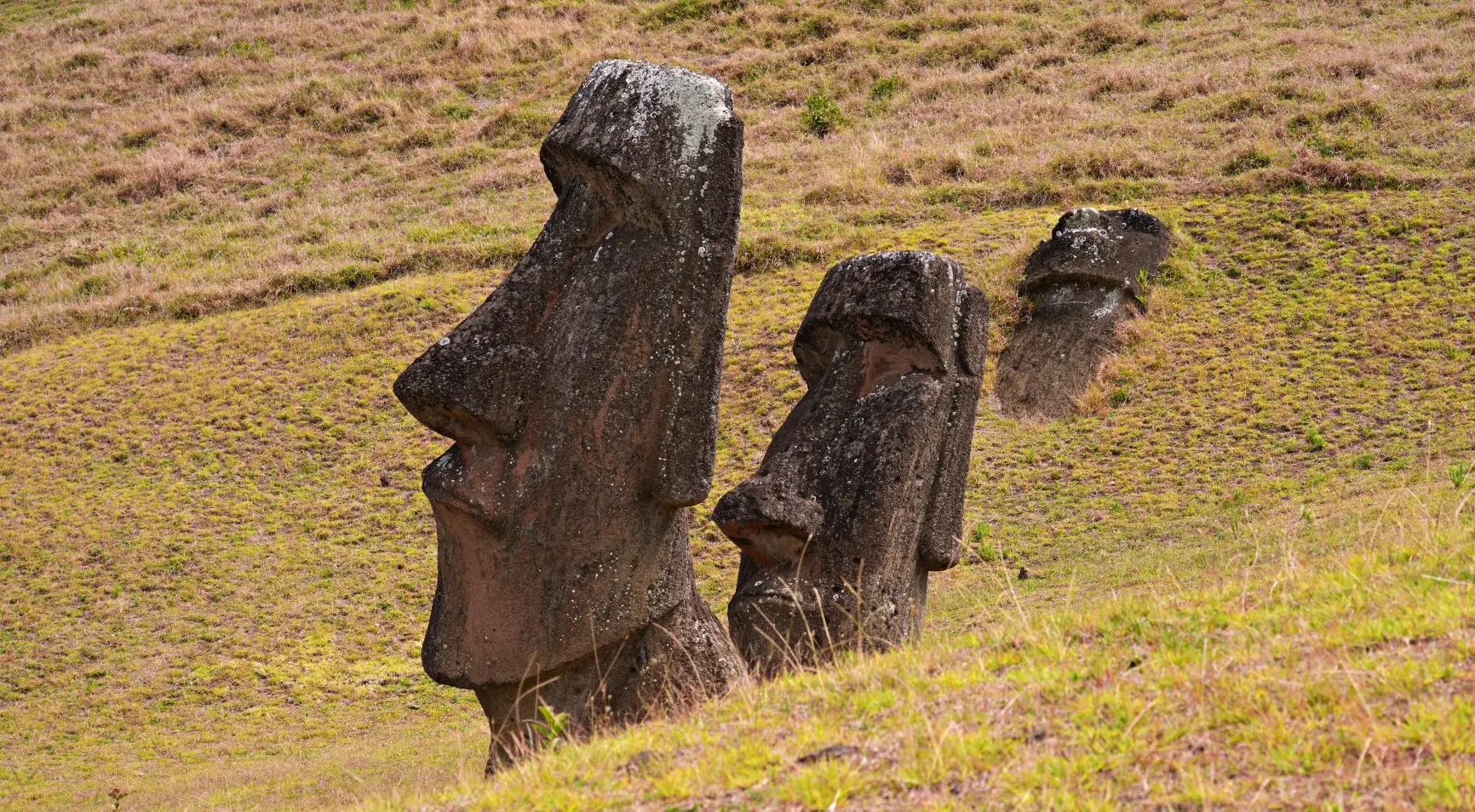 Moai Heads, Rano Raraku Quarry, Rapa Nui, Chile