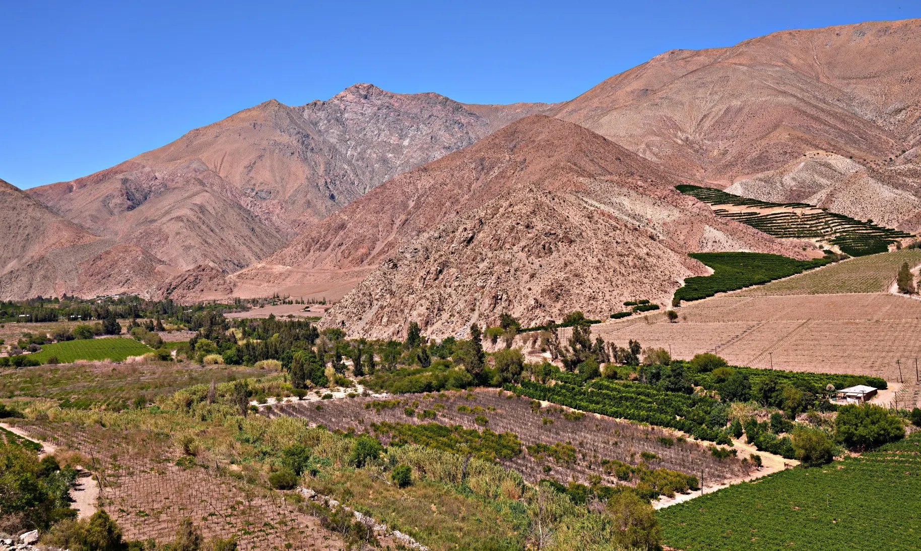 Elqui Valley – Day Trips From La Serena, Chile