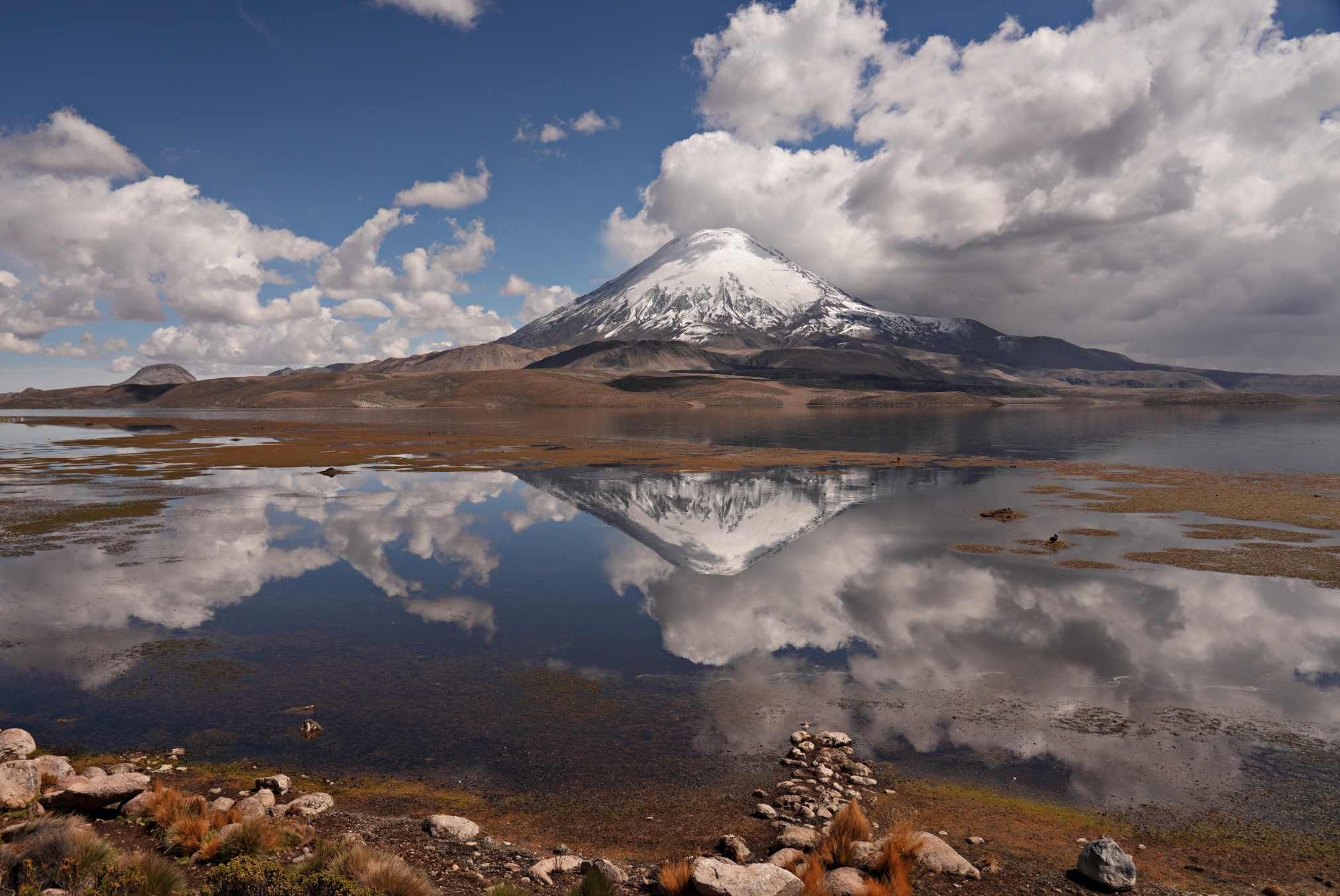 Lauca National Park – A Pristine Wonderland