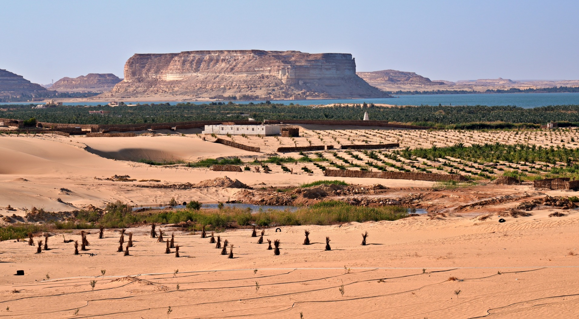 Day Trips from Siwa – Mineral Springs and Ancient Temples