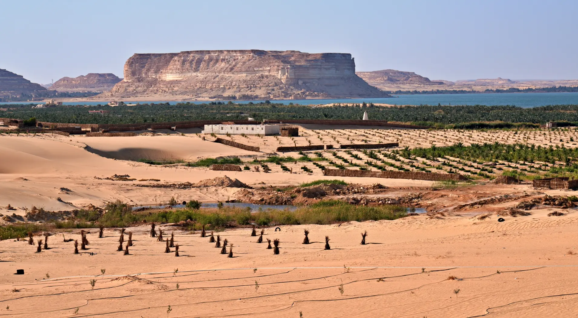 Day Trips from Siwa – Mineral Springs and Ancient Temples