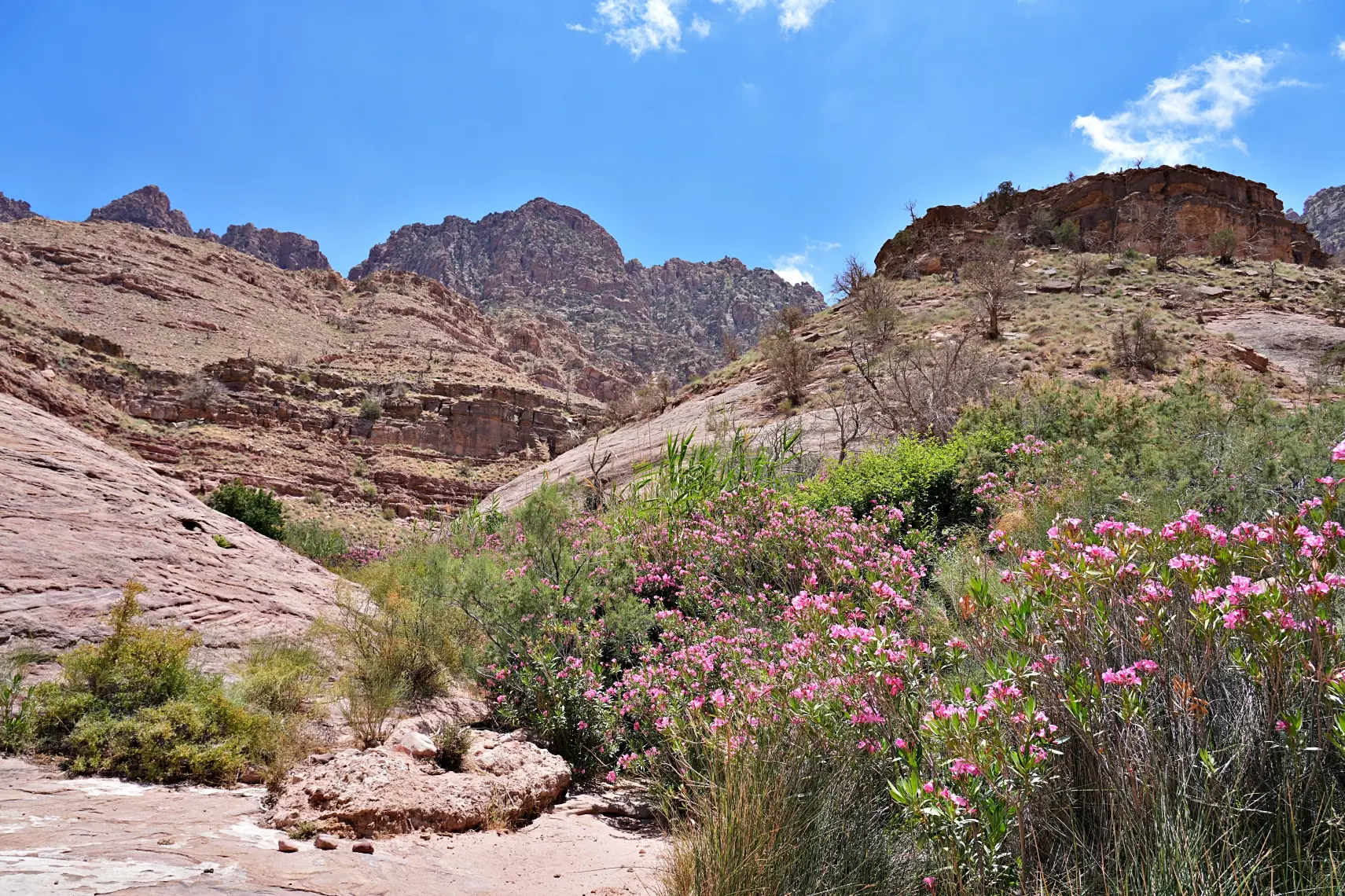 Hiking in Dana Biosphere Reserve