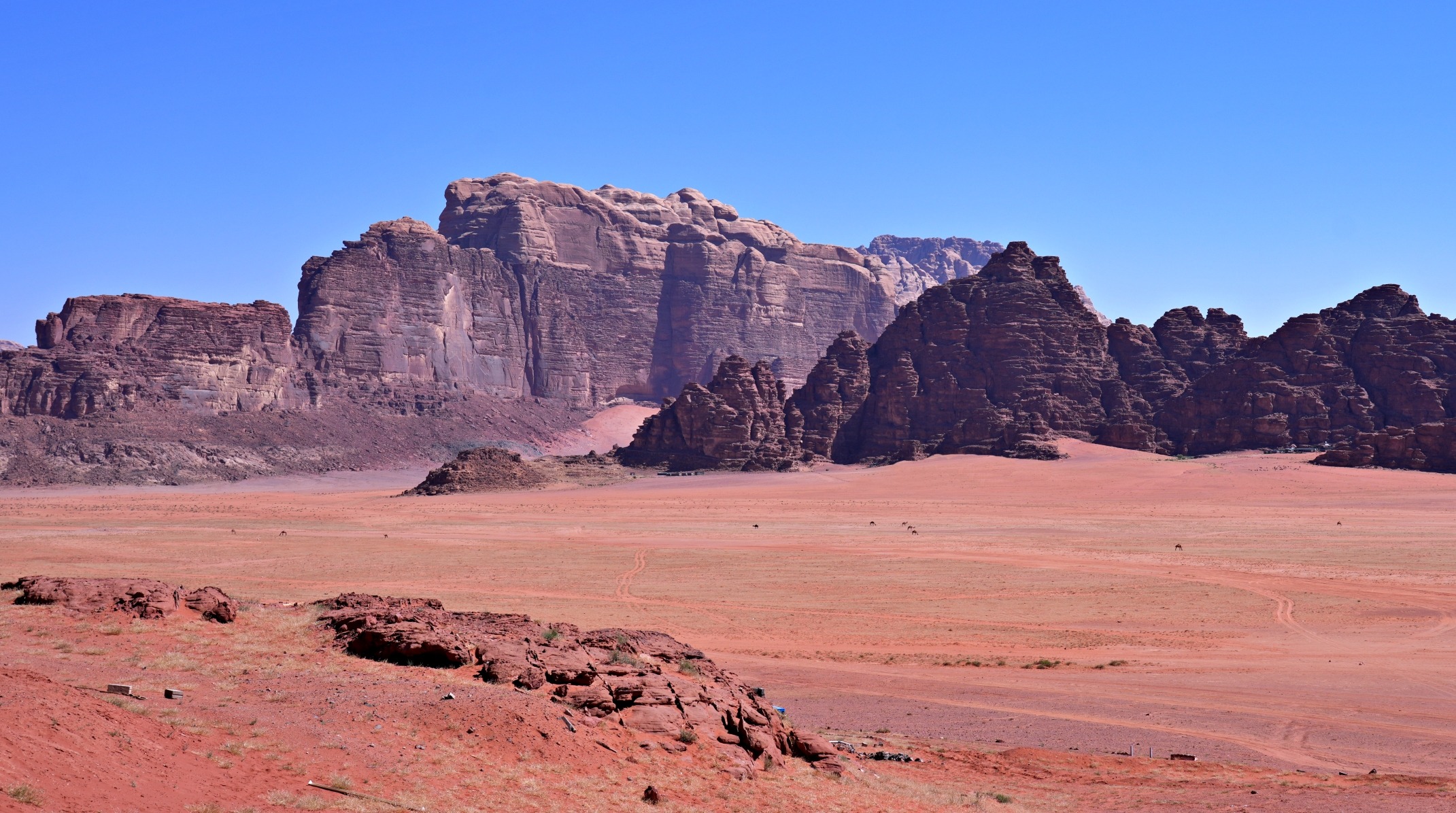 Wadi Rum: A Visitor’s Guide
