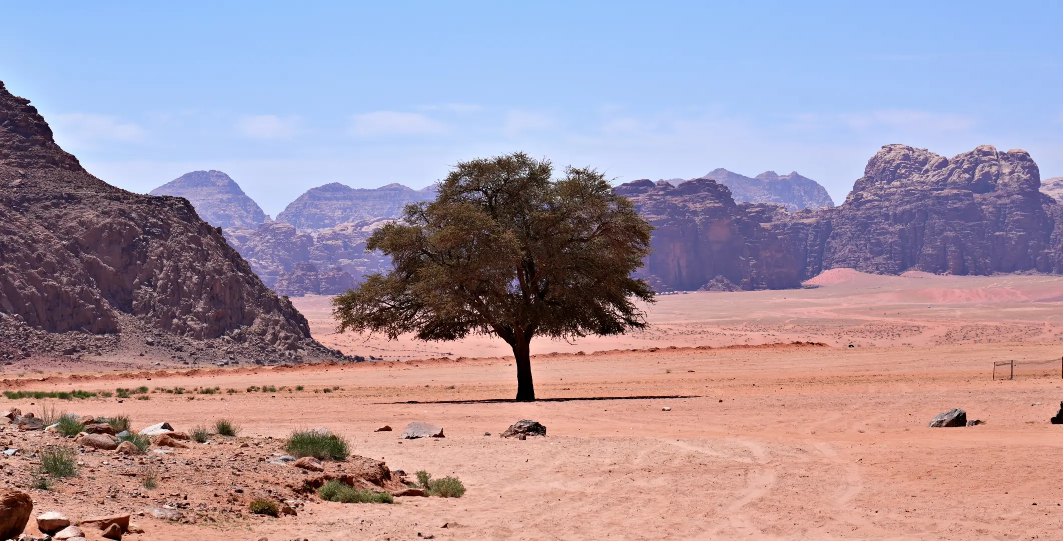 Middle East